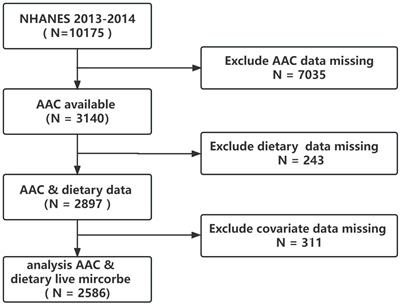 Association of dietary live microbe intake with abdominal aortic calcification in US adults: a cross-sectional study of NHANES 2013–2014